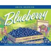 Blueberry Wheat